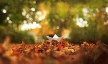 赞美亲情家宴的句子