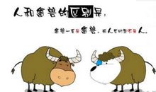 朋友圈搞笑短句