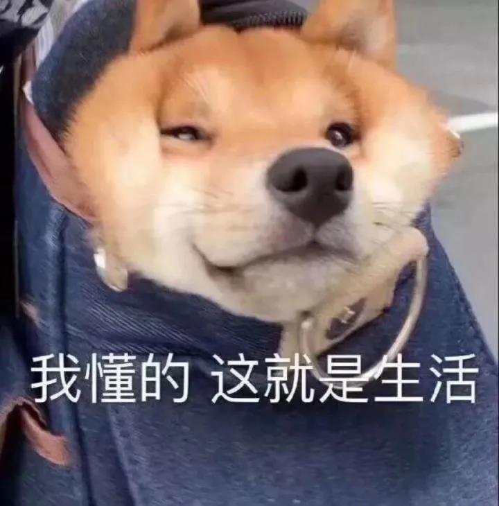 让你总是猜出义义的结尾的无穷无尽的句子，2