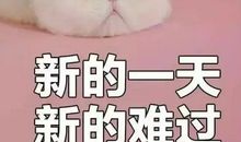 日常琐碎句子 说出来好笑又矫情