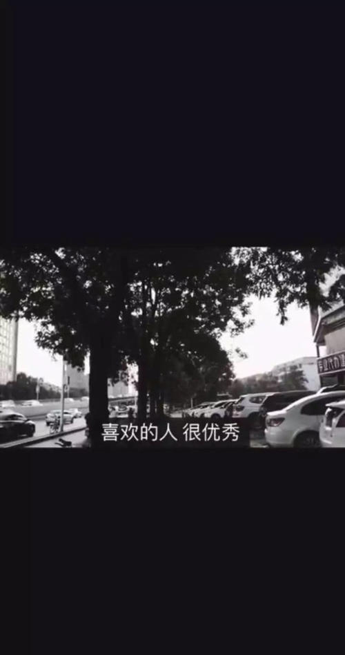 抖音上比较火的语录