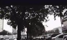 抖音上比较火的语录