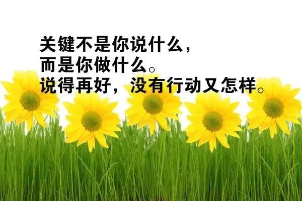 青年句美好的灵感