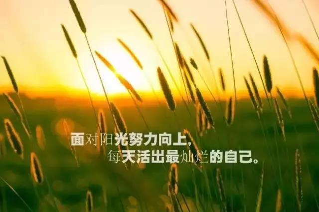 青春句子美丽短的灵感1