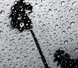 雨诗