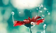 抖音最吸引人的经典说说