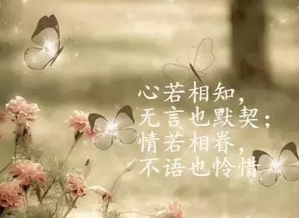 经典朋友圈告诉短句
