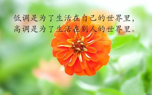 2020年朋友圈总结唯美句子