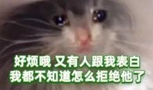 让你印象深刻的茶言茶语 绿茶婊经典句子