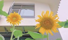 关于闺蜜姐妹友谊的宝藏文案