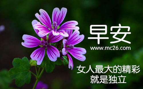 早安心语给女朋友