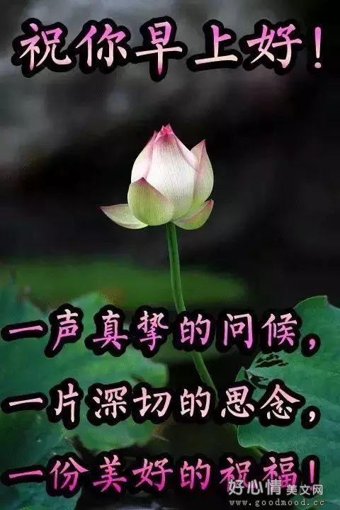 暖心