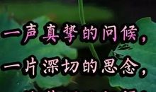 发朋友圈暖心的句子