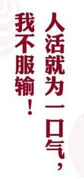 15.剑风今天磨刀十年的磨刀。