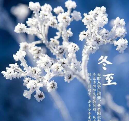 10，冬至，饺子表达：平安是皮肤，幸福是填充，真相煮熟，吃老涛，喝饺子汤，整个家庭都健康。武术吉祥！