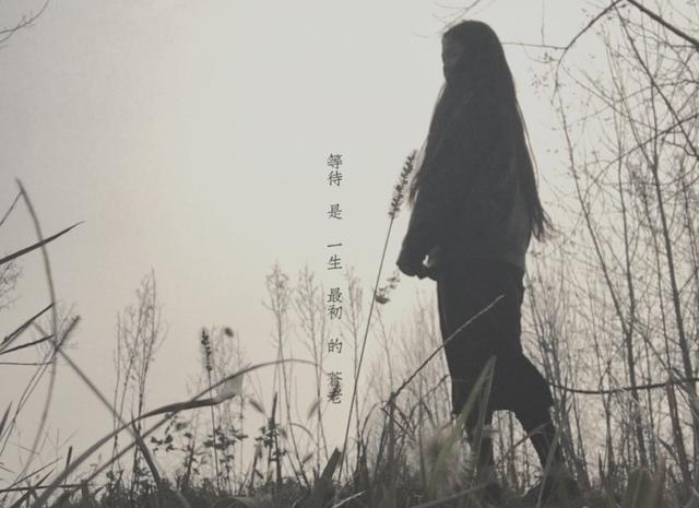 心脏和蠕动句子1
