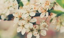 看透了一切扎心的说说