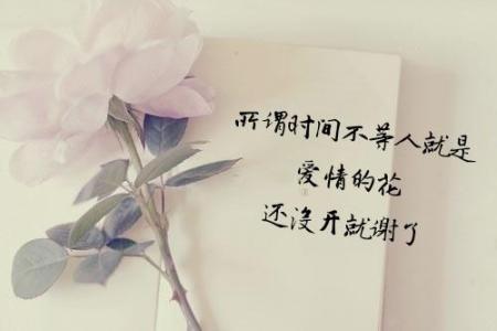 15令人心碎的句子1