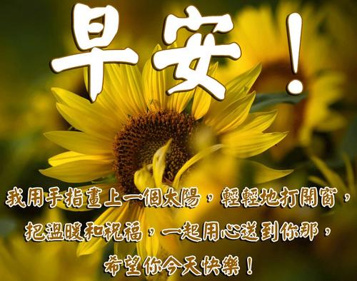 老人问候和关注