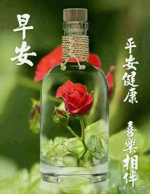 2020祝福一个圆圈