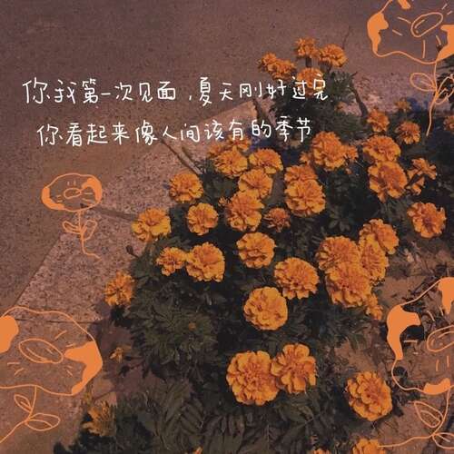 坚持不懈的经典句子