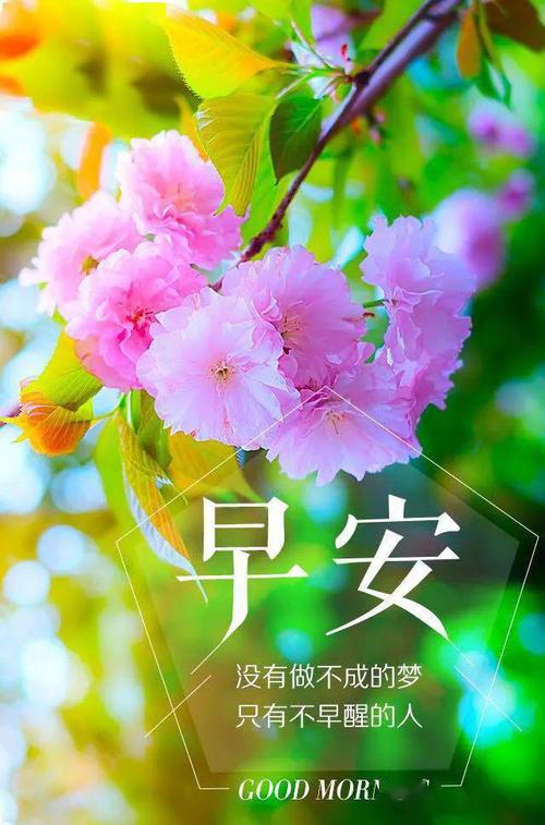 早上好爱