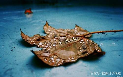 个性句适合朋友