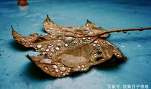 适合发朋友圈的个性句子