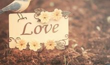 经典的心碎句子