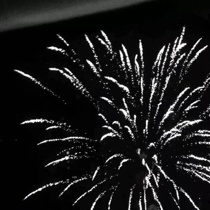 2021新年副本