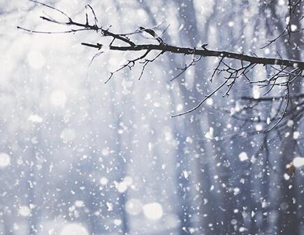 雪，美好的心情