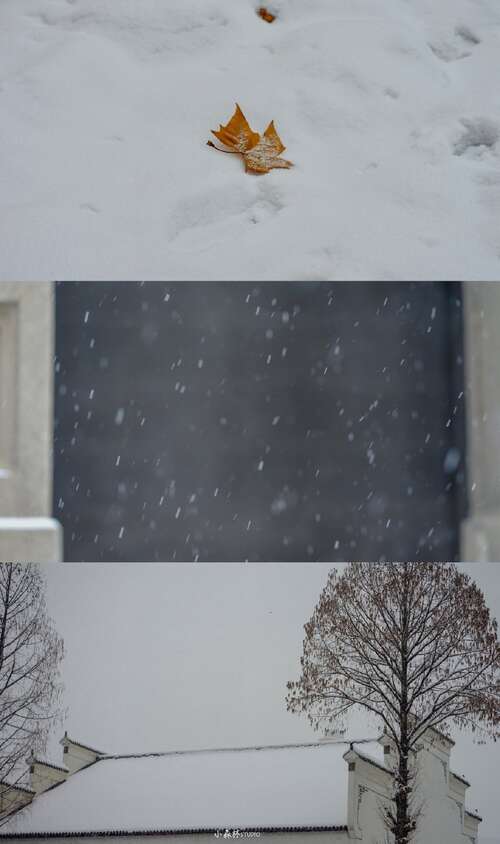 适合冬季的句子句