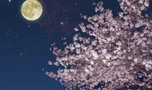 关于七夕的诗句古诗