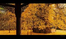 分手后祝贺他的日子过得开心的句子