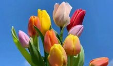 朋友圈超迷人的早安句子