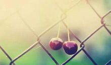 心情的说说 心情短语