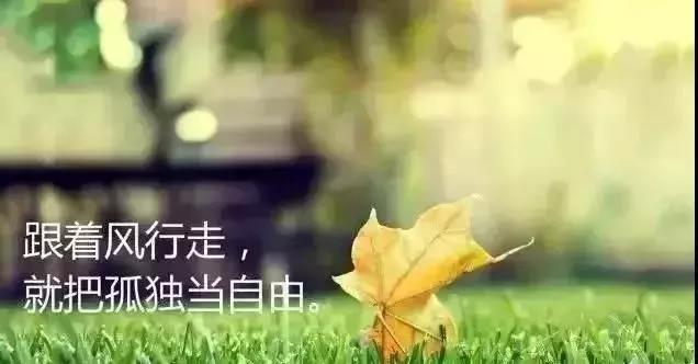 每天早期的每日积极能量