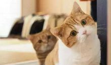 朋友圈夸人彩虹屁