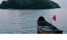 抖音上面的短句说说