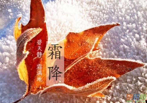 奶油朋友圈