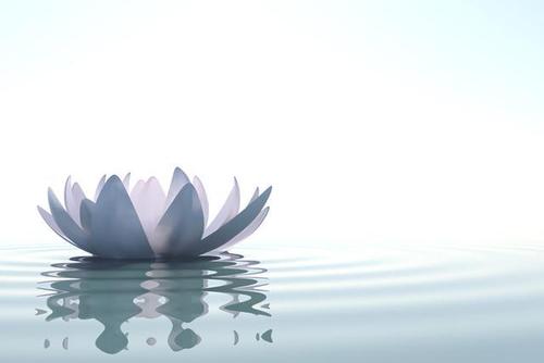 15.缺失没有改变疲劳，问候不是因为疲倦而懒惰，祝福并没有放缓，关心星星，仍在半夜。