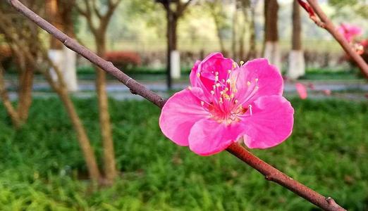 美容沙龙日常问候短信1