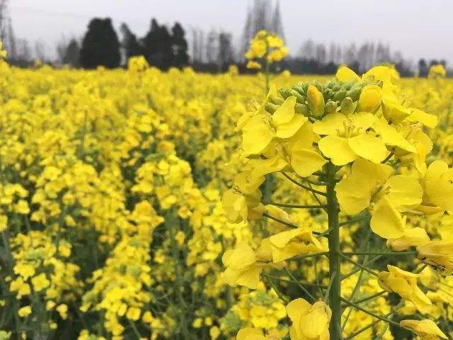 天气温暖的周末问候短信
