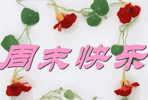 春天的商务周末问候短信1