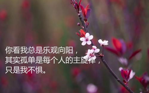 女女孩说