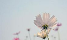 三月第一天的心情说说