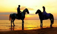 友情经不起时间的考验的句子