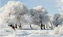 冬天雪景的优美句子