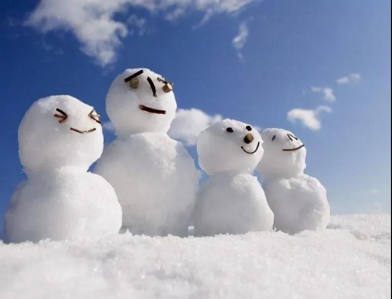 美丽的句子2为冬天的雪