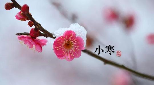 小寒冷假日问候短信1